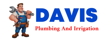 Trusted plumber in CATARINA